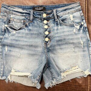 Judy Blue Distressed jean shorts